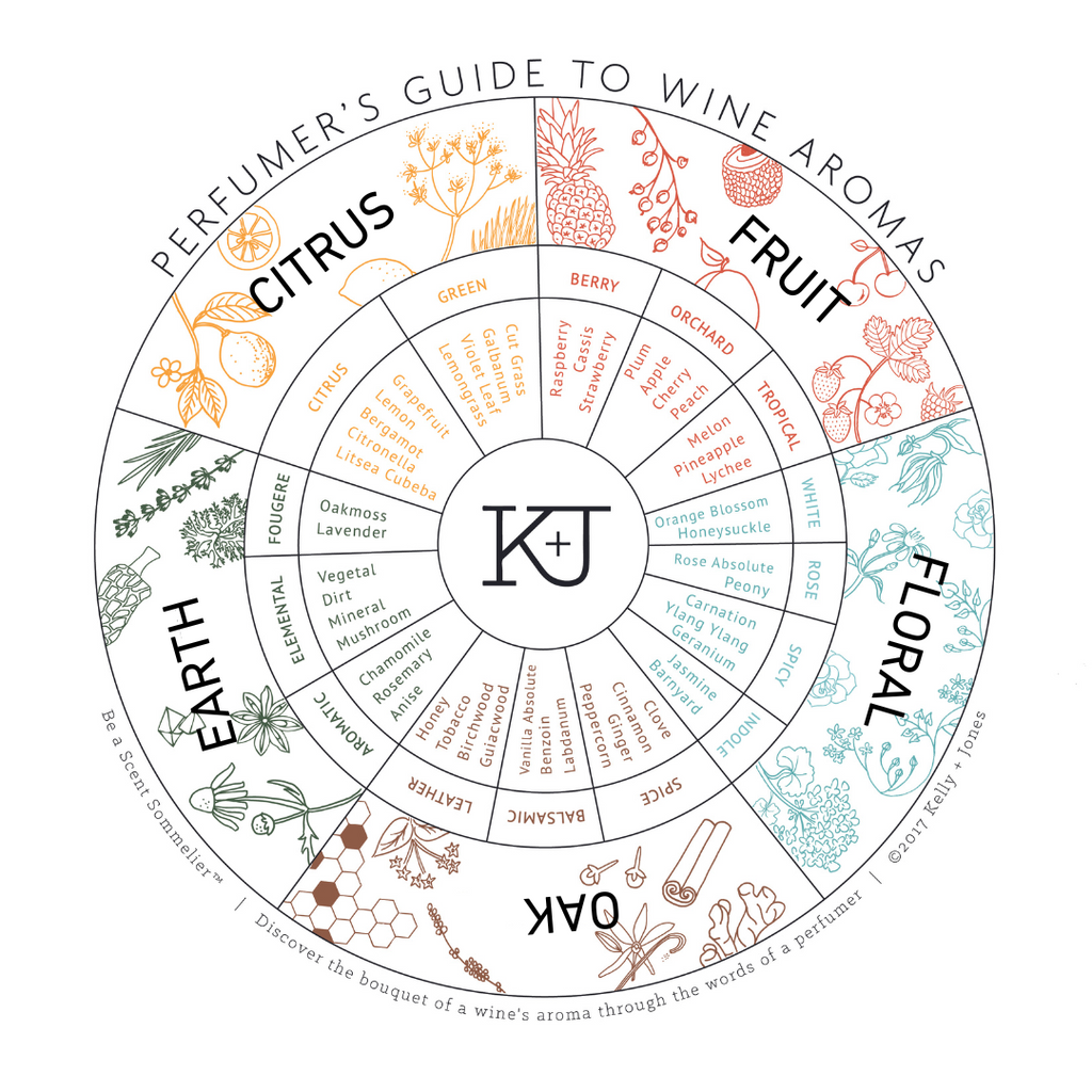 Perfumer's Guide to Wine Aromas