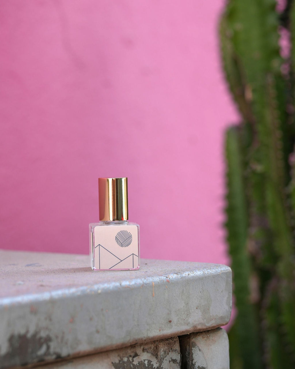 Inspiration from Oaxaca's Agave Fields