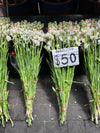 Bouquets for sale at the Mexico City Flower Market