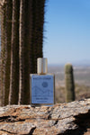 Mezcal Azul in the Rincon Mountains, Sonoran Desert outside of Tucson, Arizona with saguaro cactus