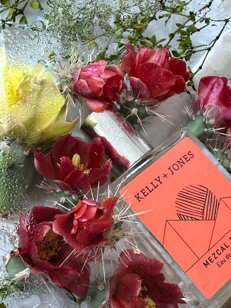 Mezcal Roja bottle with desert bloom with warm minerals 