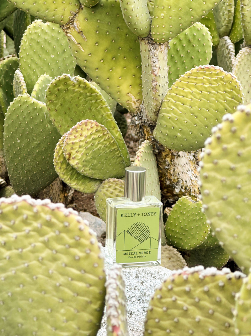 Mezcal Verde in the desert