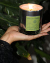 Woman's palm holding a Mezcal Verde scented candle in a jungle setting