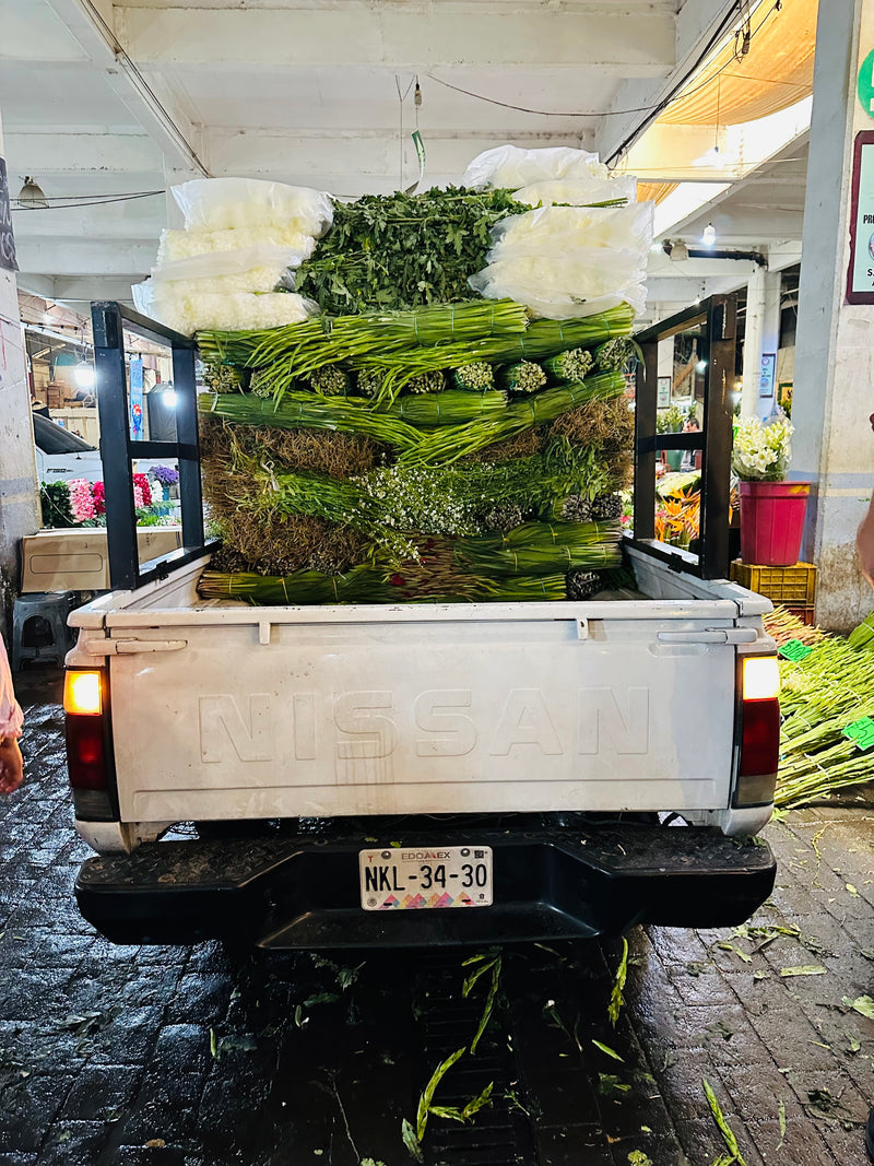 Notes of Petrol from vintage pickups at the Mexico City flower market
