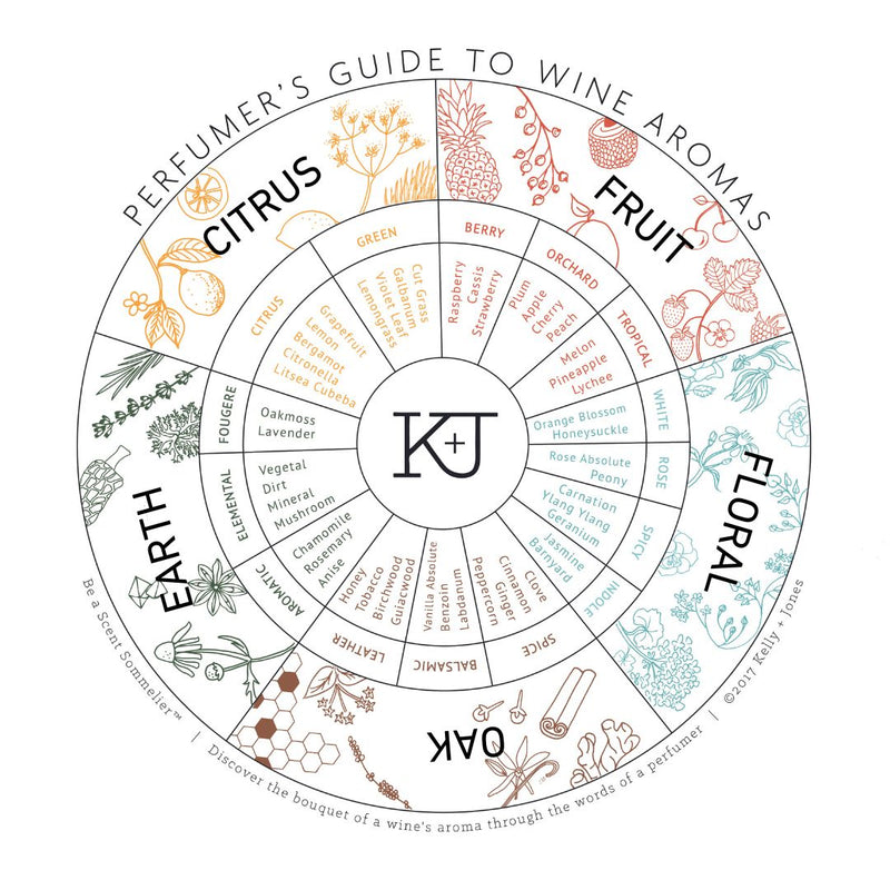 Perfumer's Guide to Wine Aromas