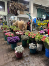 Floral arrangement stand with various flowers in pots at the Mexico City flower market.