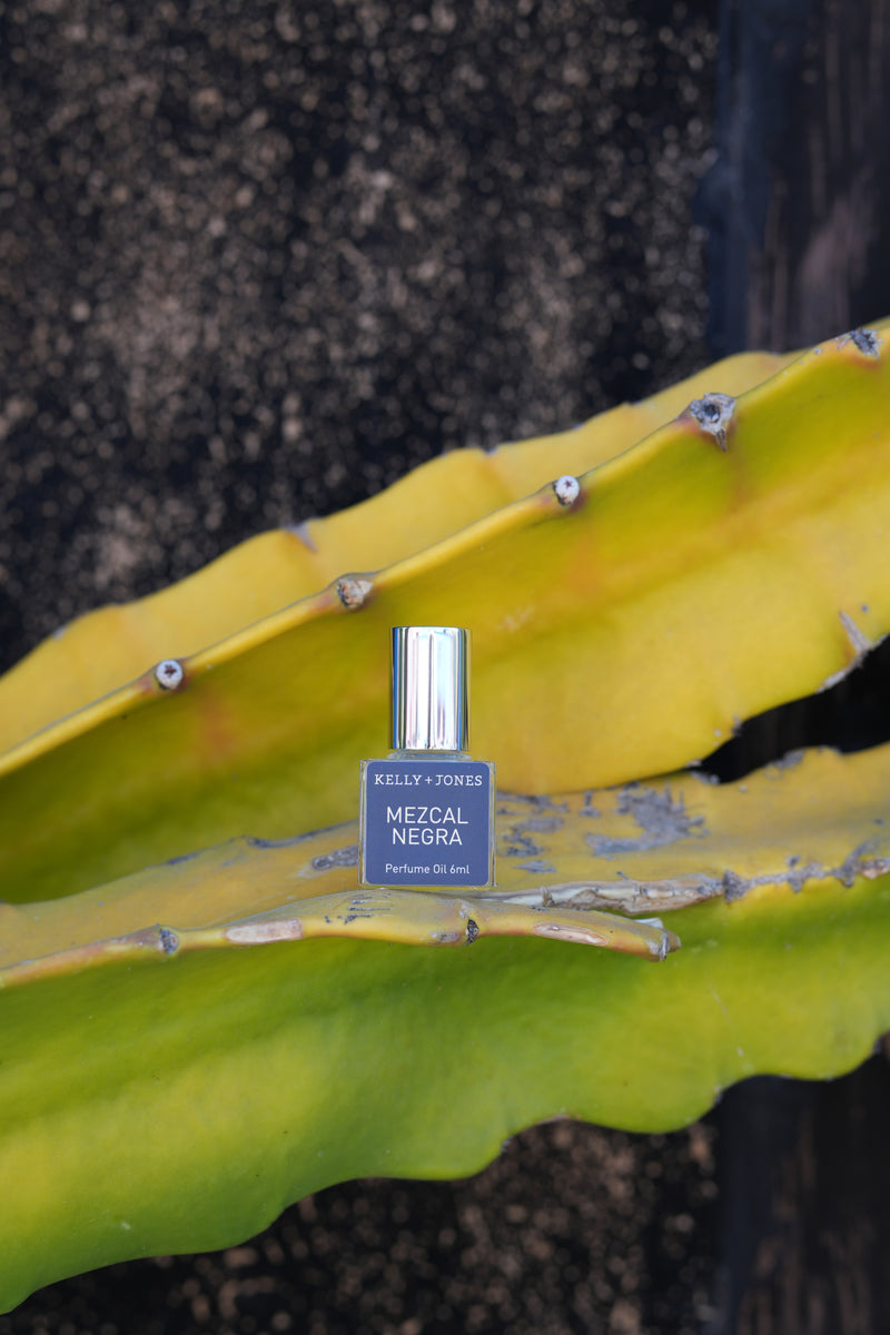 Mezcal Negra Perfume Oil in Oaxaca with cactus
